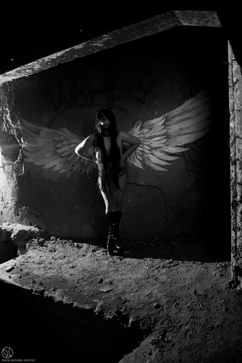 fallen-7405_3