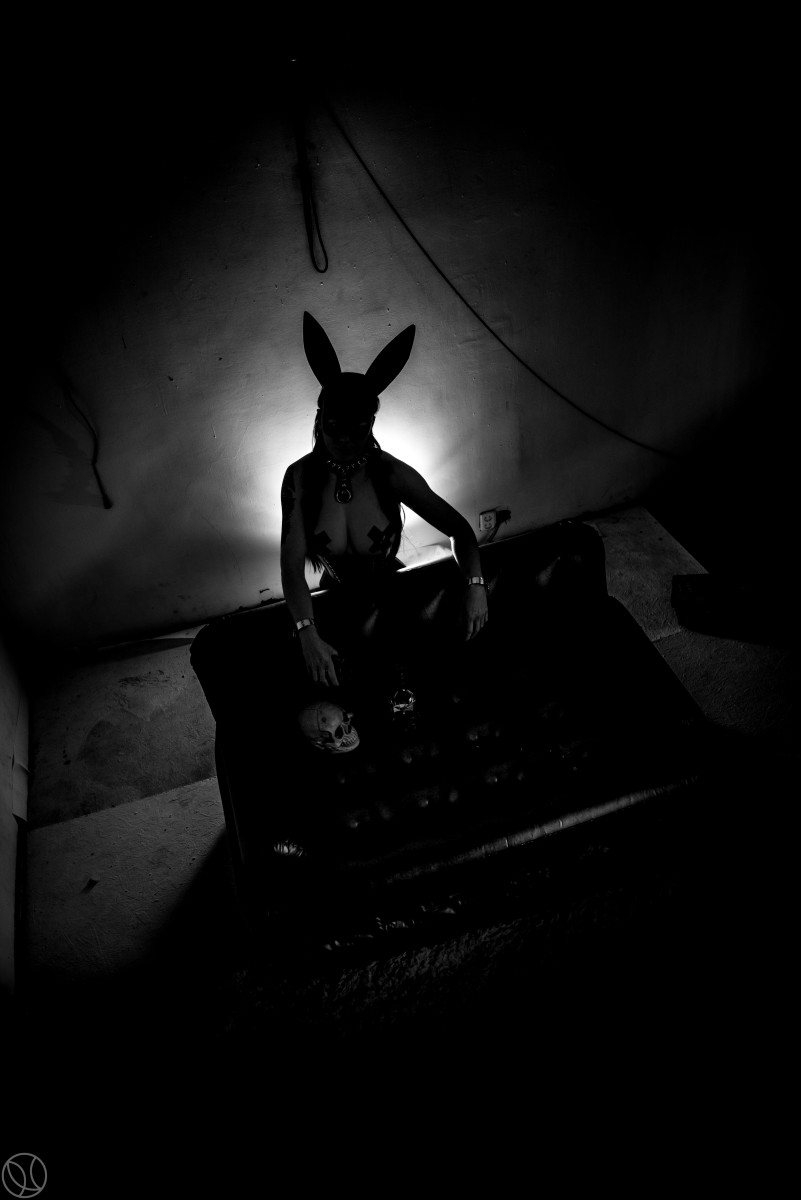 Rabbit from the hole